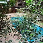 1Hotel