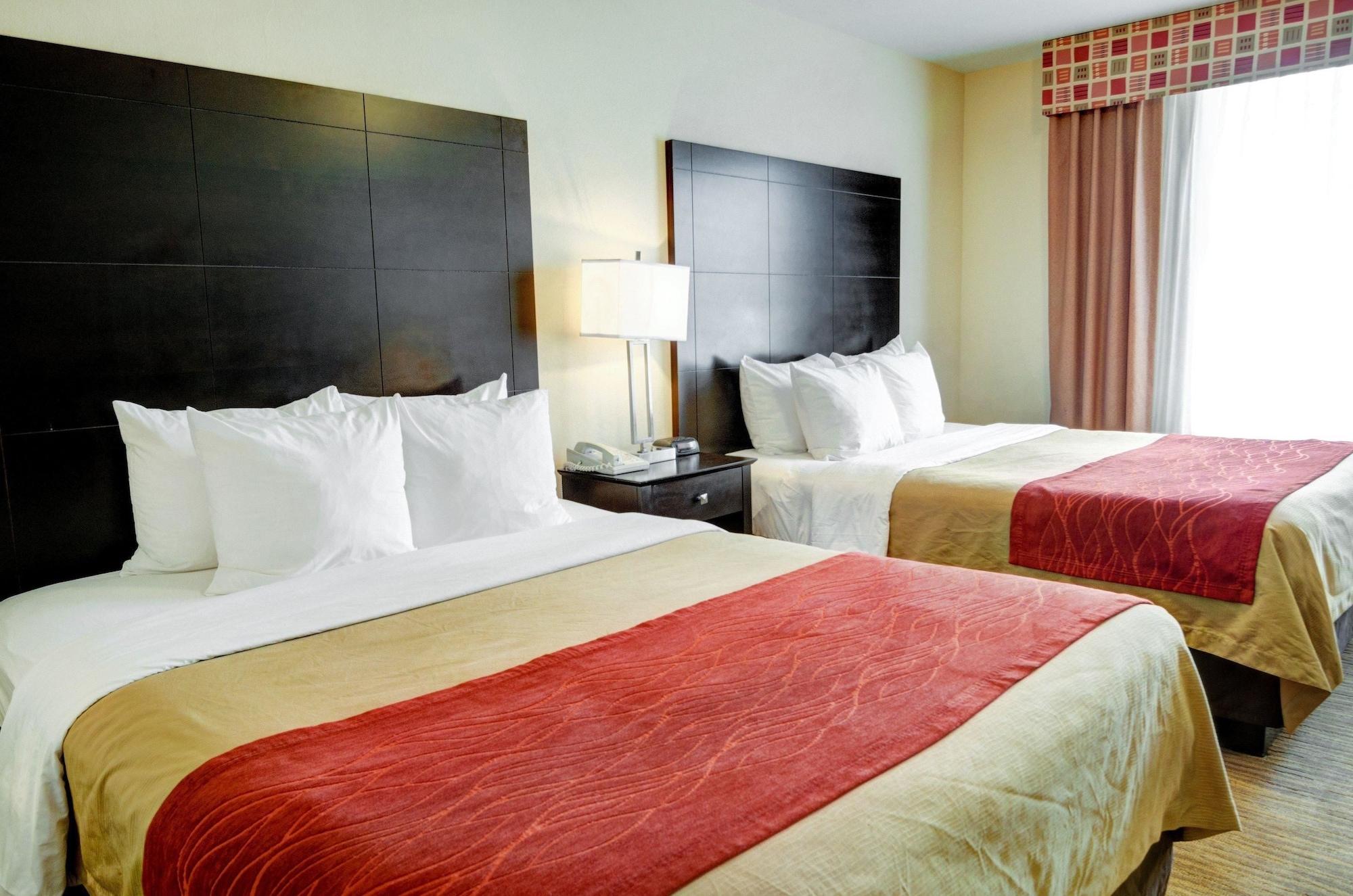 Comfort & Hotel