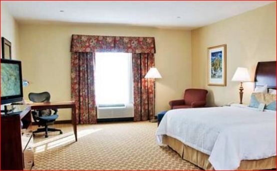 Hotel Hilton Garden 3*