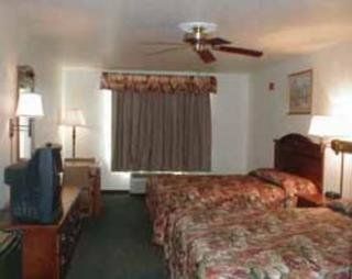 Comfort & Hotel