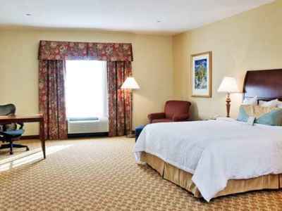 Hotel Hilton Garden 3*