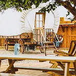 Big Texan Cabins