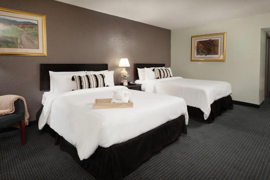 Hotel Cactus Cove And 3*