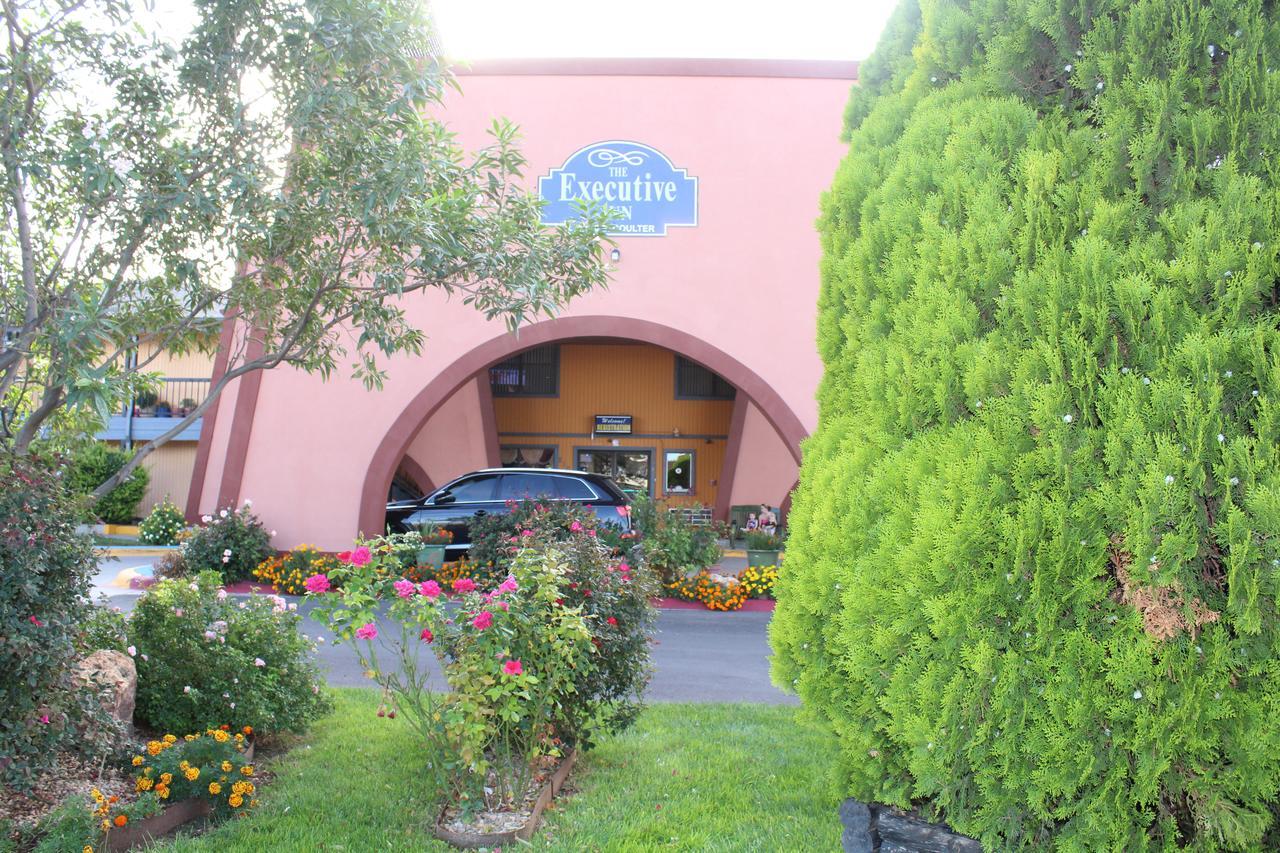 The Executive & Amarillo